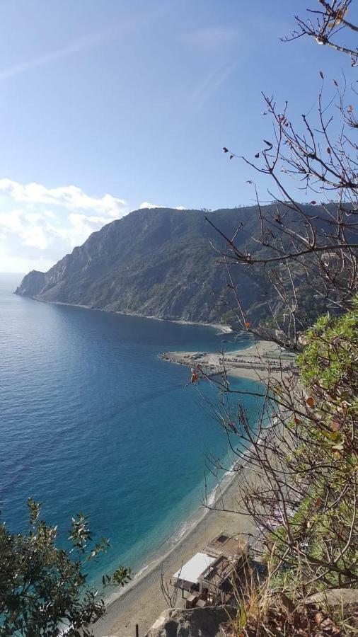 Appartamento Le Conchiglie Monterosso Al Mare Eksteriør billede