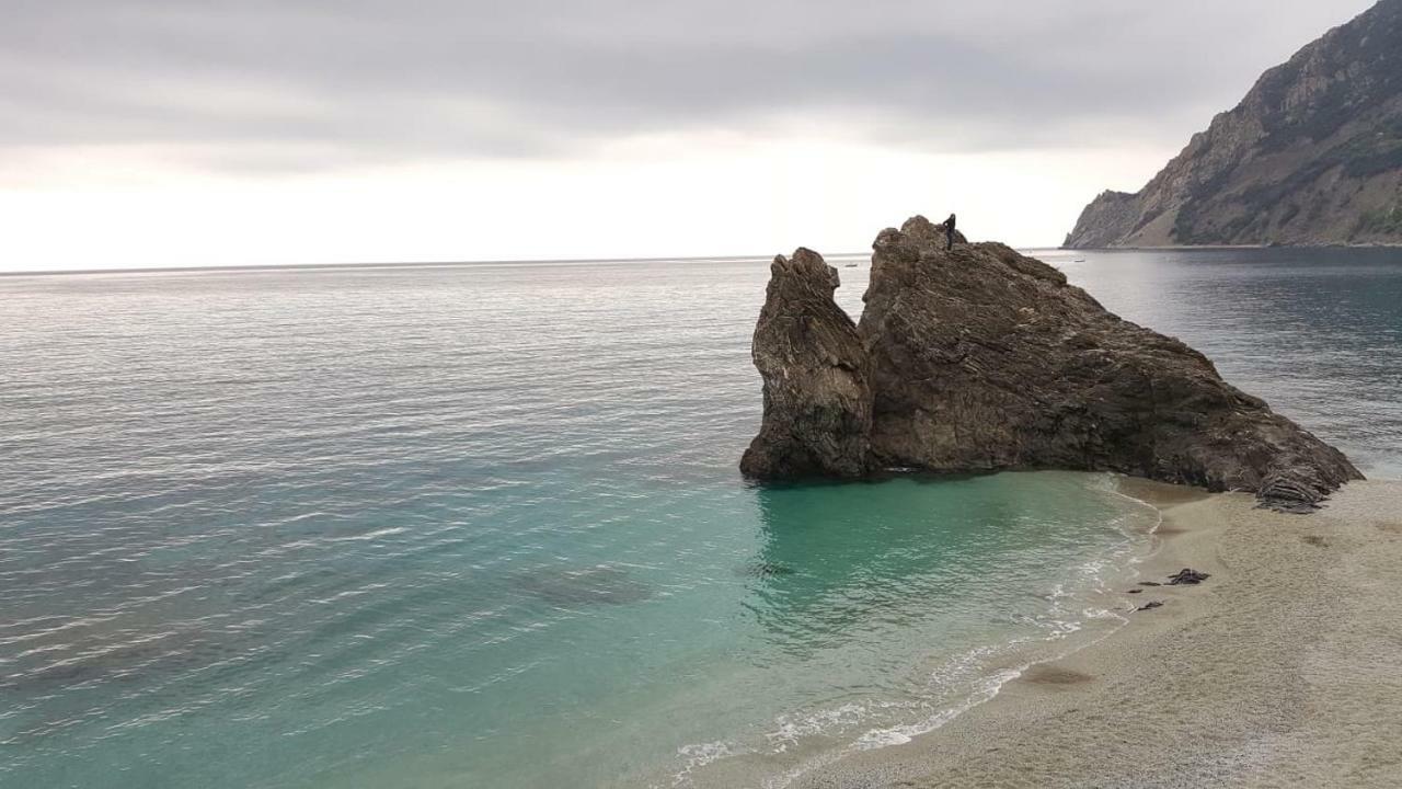 Appartamento Le Conchiglie Monterosso Al Mare Eksteriør billede