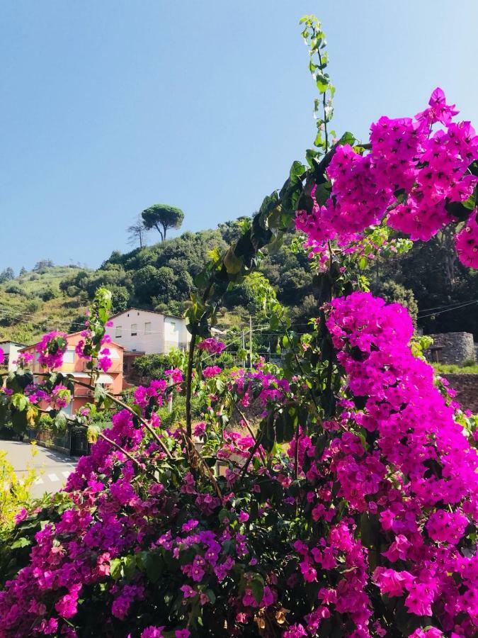 Appartamento Le Conchiglie Monterosso Al Mare Eksteriør billede
