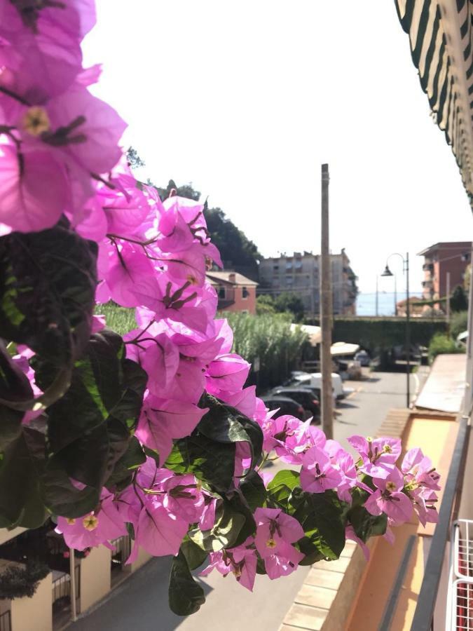 Appartamento Le Conchiglie Monterosso Al Mare Eksteriør billede